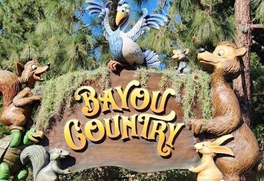 Bayou Country: Discovering Disneyland’s Woodland Wonderland