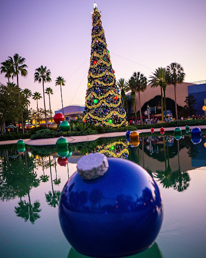 Christmas tree by the lake.