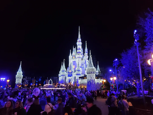 Disney Skyliner with Holiday Lights